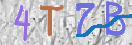 CAPTCHA Image